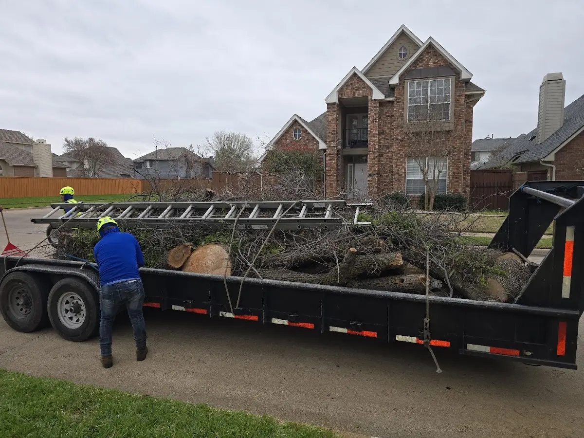 Expert Tree Fertilization with proper safety equipment in Korbel